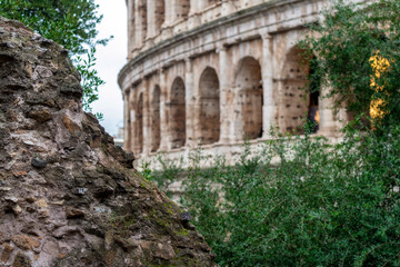 Fototapeta na wymiar Le Colisée à Rome