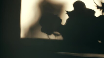 Vertical video of silhouette young loving mother holding little baby daughter or son, shadows family on wall during warm sunset or sunrise in cozy room at home. Slow motion - Powered by Adobe