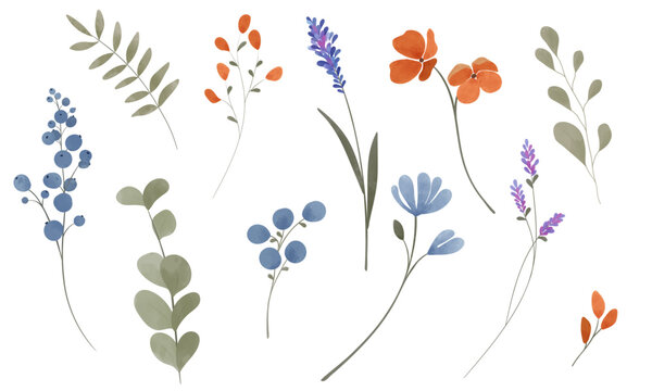 Vector elements. Various watercolor flowers. Cute spring flowers