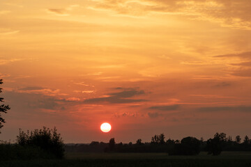 unset with an orange sky and the sun in the middle through the clouds and a row of trees on the horizon