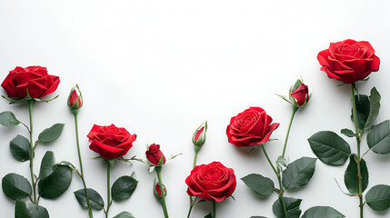 Beautiful red roses and buds on white background with space for text. Top view, flat lay, generative ai