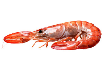 A Platter of Red Boiled Shrimp, a Seafood Symphony Isolated on Transparent Background.