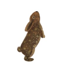 Cute fluffy rabbit on a white background. A rabbit with stars on its fur coat. Magic Bunny