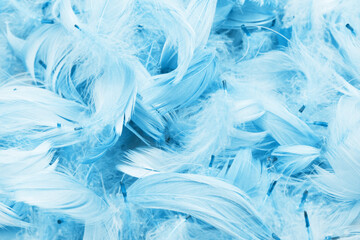 Feathers background. Artificial decorative feathers texture. Soft cotton background. Fluffy bird...
