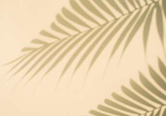 Blurred palm leaf shadow
