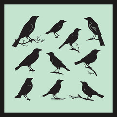 Crow bird silhouette set