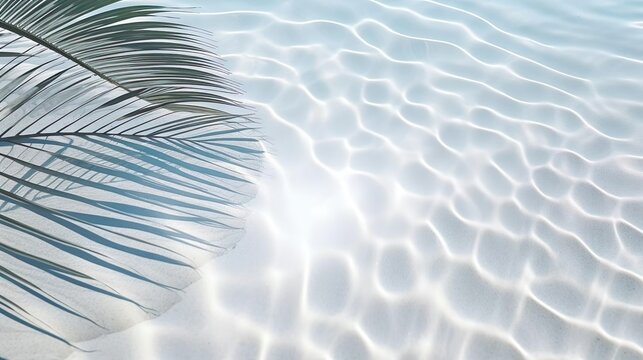 Top view of tropical leaf shadow on water surface