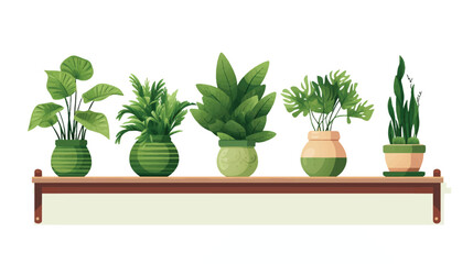 Shelf with plant illustration vector