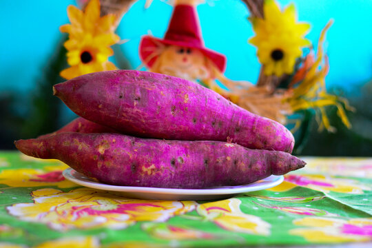 A batata-doce &eacute; um dos tub&eacute;rculos mais consumidos no Brasil e &eacute; uma fonte de carboidrato saud&aacute;vel. Por ser rica em fibras, ela &eacute; considerada um alimento com m&eacute;dio &iacute;ndice glic&ecirc;mico, ou seja, aumenta a 
