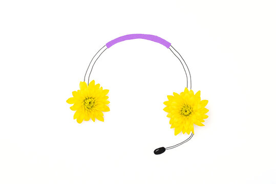Hand drawn headset with misrophone and Сhrysanthemum flower heads enstead of earphones. Flat lay surrealistic photography.