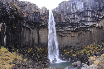 svartifoss waterfall in iceland