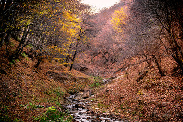 autumn in the mountains