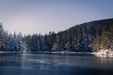 A frozen lake in the woods