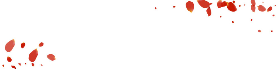 Beautiful Lotus Japanese Vector Transparent