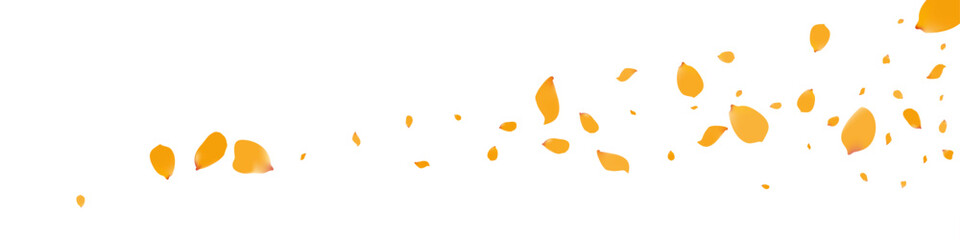 Yellow Petal Summer Vector Transparent Panoramic