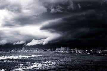 storm clouds over the forest