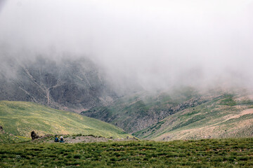 misty morning in the mountains