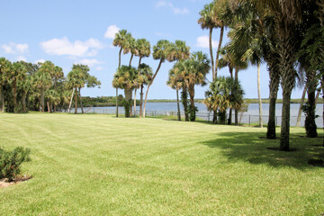A view of the Florida Everglades