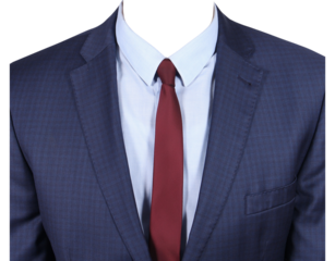 Mens Formal Striped Suit For Passport Size Photo,  Mens Office Suit Half Body Transparant Background Tie Coat