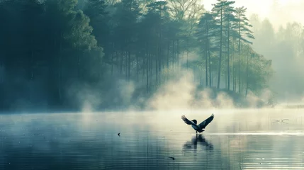 Deurstickers Spring landscape with takeoff Loon (misty morning). Bird were scattered on water of lake in misty forest. Picture has artistic value, fine art photography. Art style of photo © Orxan