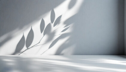 Original beautiful background image for presentations product with natural composition.  wall with shadow of tropical leaves