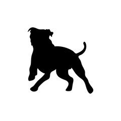 silhouettes of pitbull running 