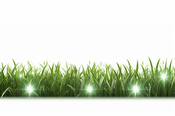 Grass field seamless footer. Microgreen wheat sprouts. Fresh green grass meadow background