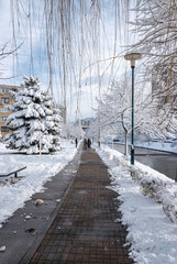 Winter magic on the Sarajevo's streets
