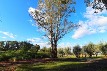 Kangaloon Valley  Village, New South Wales  Australia Country Landscape photography