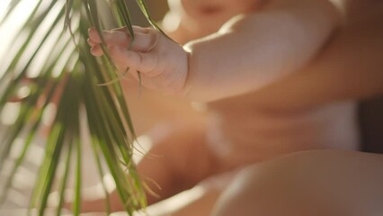 Cute little baby hand closeyp play with palm tree branch. Concept of ecologically clean vegan organic cosmetics and skincare moisturizing. Happy child play with natural toy. Tenderness soft touch