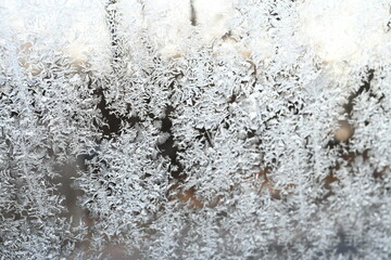 close up of ice flowers on glass