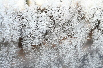 close up of ice flowers on glass
