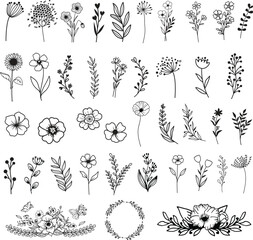 Wildflowers hand drawn, Flowers vector, Floral element illustration.
