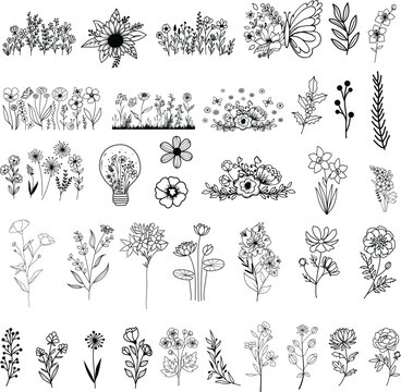 Wildflowers hand drawn, Flowers vector, Floral element illustration.