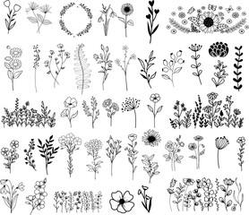 Wildflowers hand drawn, Flowers vector, Floral element illustration.