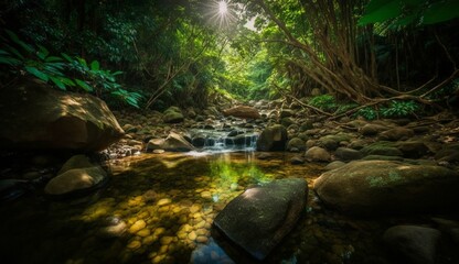 A beautiful crystal clear stream of water