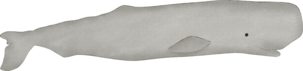  sperm whale watercolor illustration  © BLACKSO STUDIO 