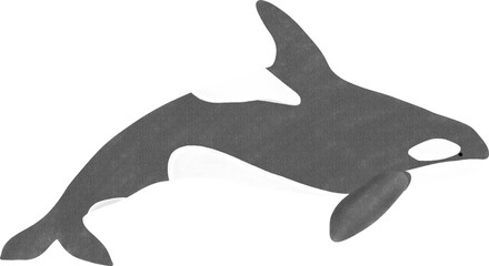 killer whale or orca watercolor illustration