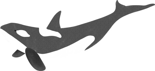 killer whale or orca watercolor illustration