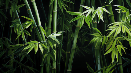 bamboo forest background