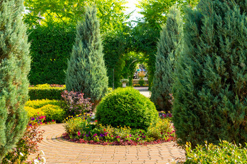 A garden composition with decoratively trimmed thuja bushes. Trimmed garden bushes