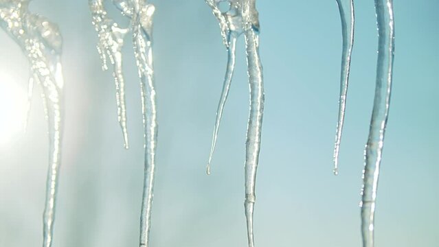 Melting icicles dropping water . Spring is coming