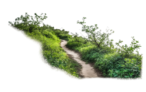 Fast Relief Nose Spray on Transparent Background