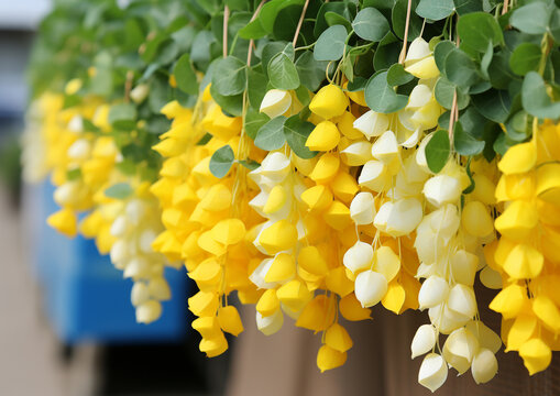 different color leaves in buddle along with yellow and white color stag High quality photo