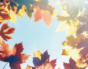 Naklejka na ściany i meble 秋の空を見上げて（秋の葉っぱフレーム）