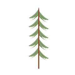 Row of pine tree vector illustrations. set isolated on white background