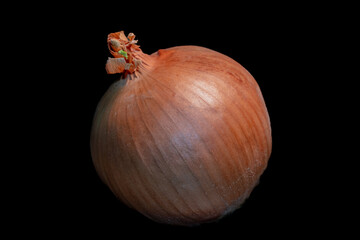 Fresh ripe brown ripe onion on black background. Onion isolated. Vegetable food healthy ingredient