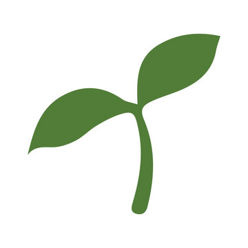 green sprout plant on white background clip art preview