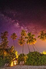 Inspirational beautiful nature view. Starry night sky against with coconut palm tree and romantic...