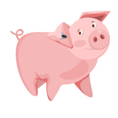 Pink pig with a fly on its ear